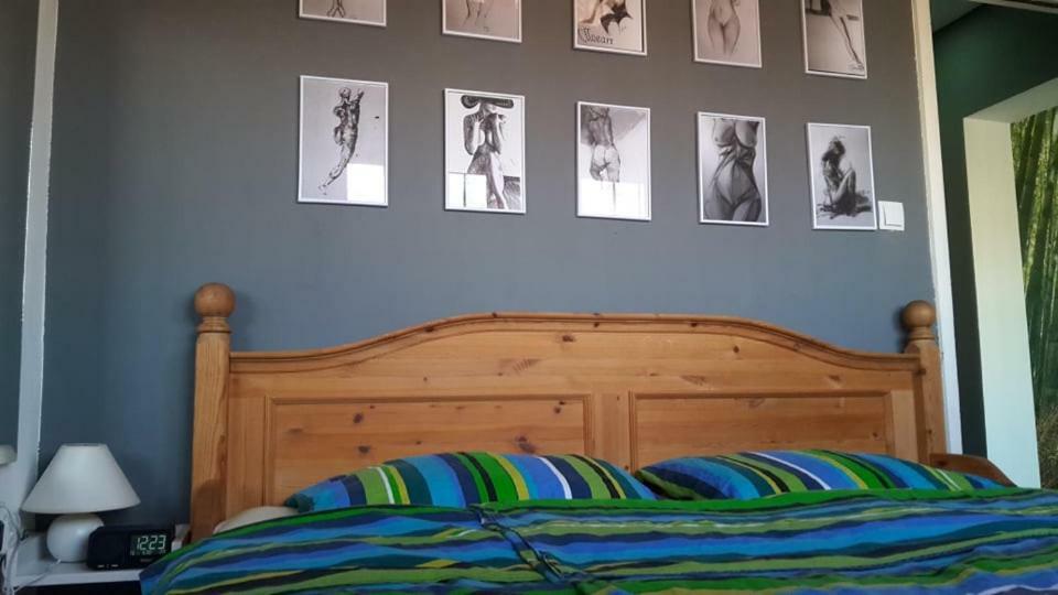 Apartman Sirius 奥西耶克 外观 照片