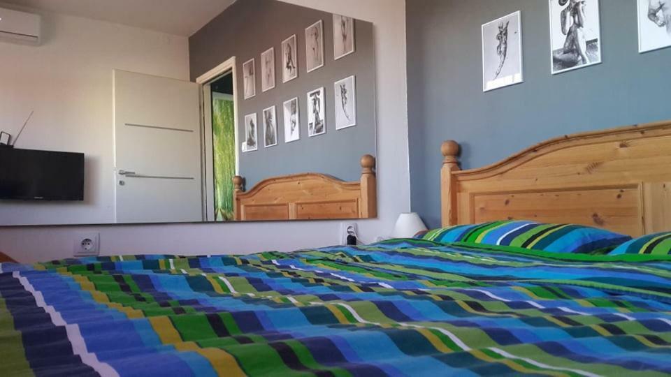 Apartman Sirius 奥西耶克 外观 照片